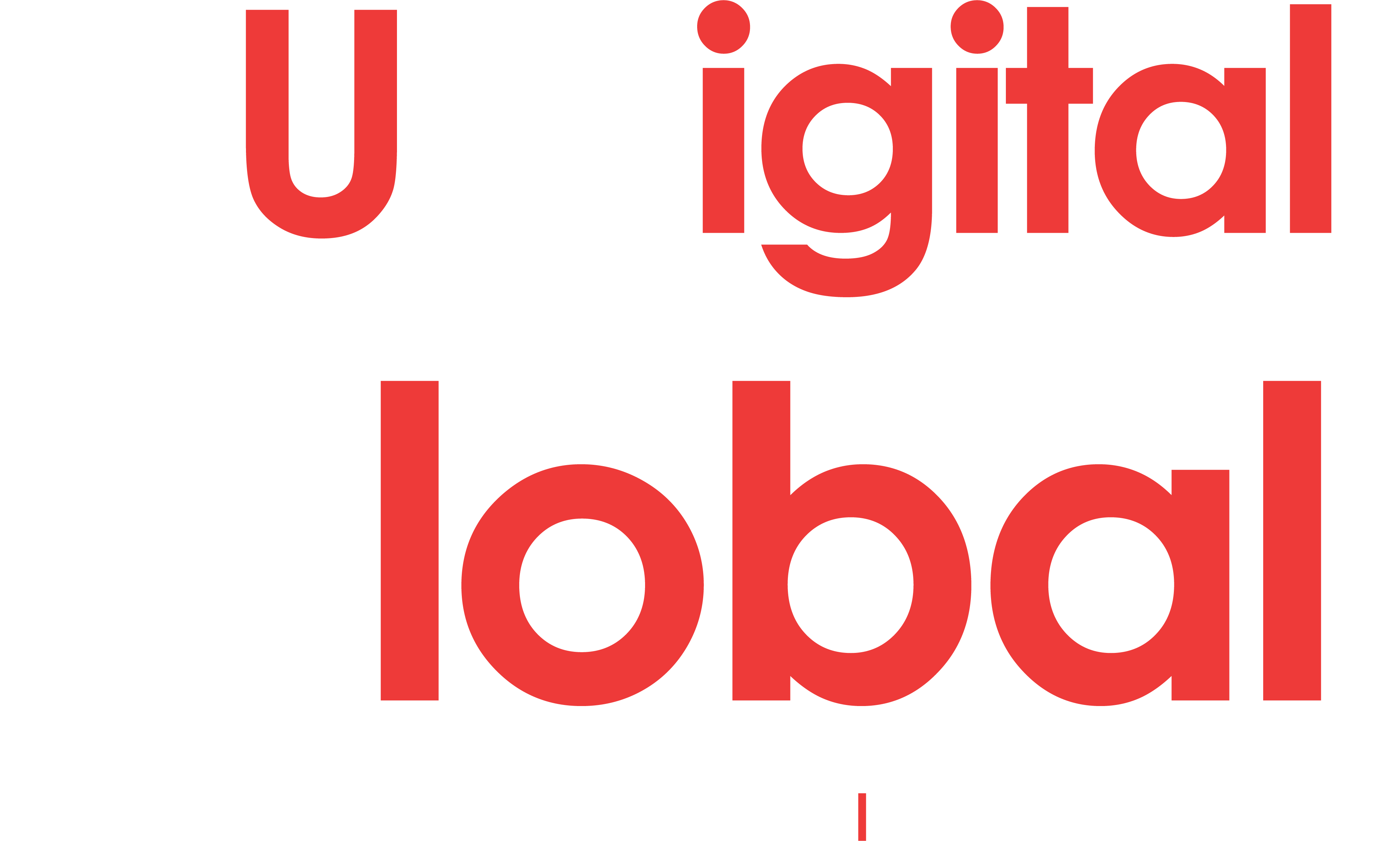 investor-relation-du-digital-global