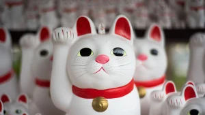 what to buy in japan